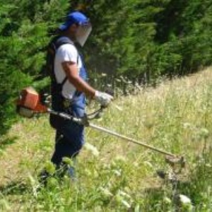 A V V I S O  Taglio dell'erba nei vari campi ed aree cimiteriali