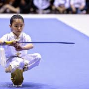 2° Trofeo di Wushu Kung Fu  -  Città di Zogno