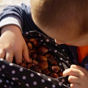 SCOPRIAMO LE CONTRADE DELLE CASTAGNE - Castegnone