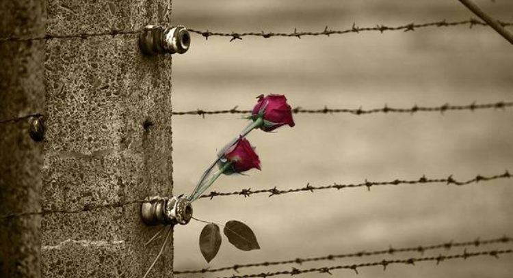 Lettura teatrale in occasione della Giornata della memoria - 27 gennaio 2026