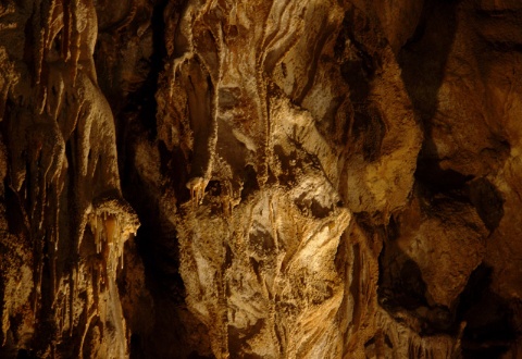 immagine Grotta delle meraviglie 