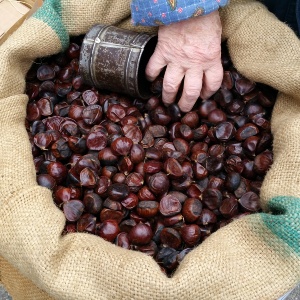 Castegnone e i suoi sapori – Biligocc a Castegnone di Poscante