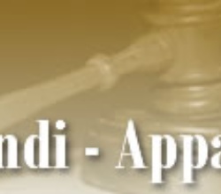 immagine Bandi - Appalti