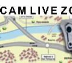 immagine Webcam Live Zogno